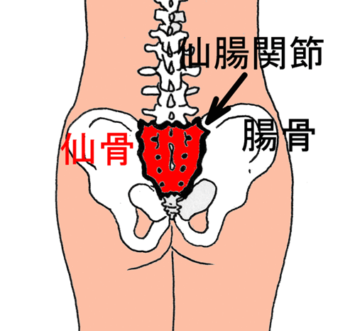 腰痛でお尻（仙骨）に痛みが出る　札幌の腰痛専門整体院